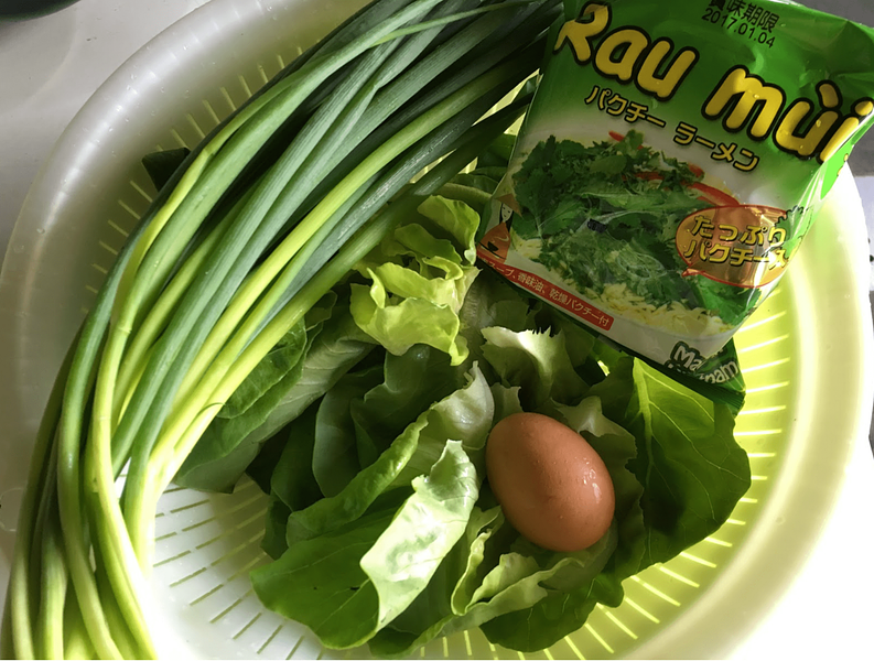 Phở gà và mì rau mùi Made in Japan