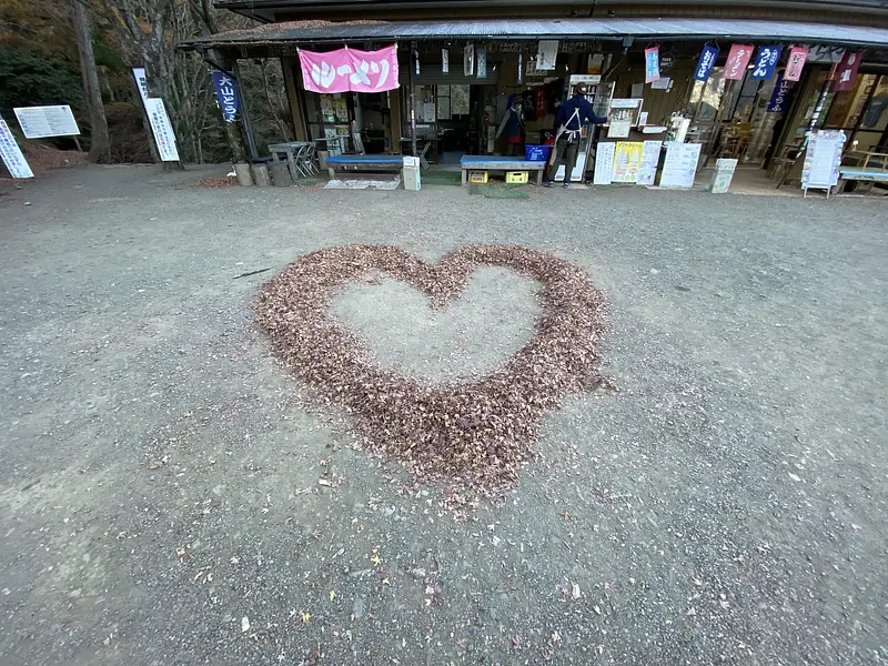 article-files/274/2025-07-13-00-40-37-617c.webp 大山(神奈川)登山之旅回顾 - 徒步远足之旅