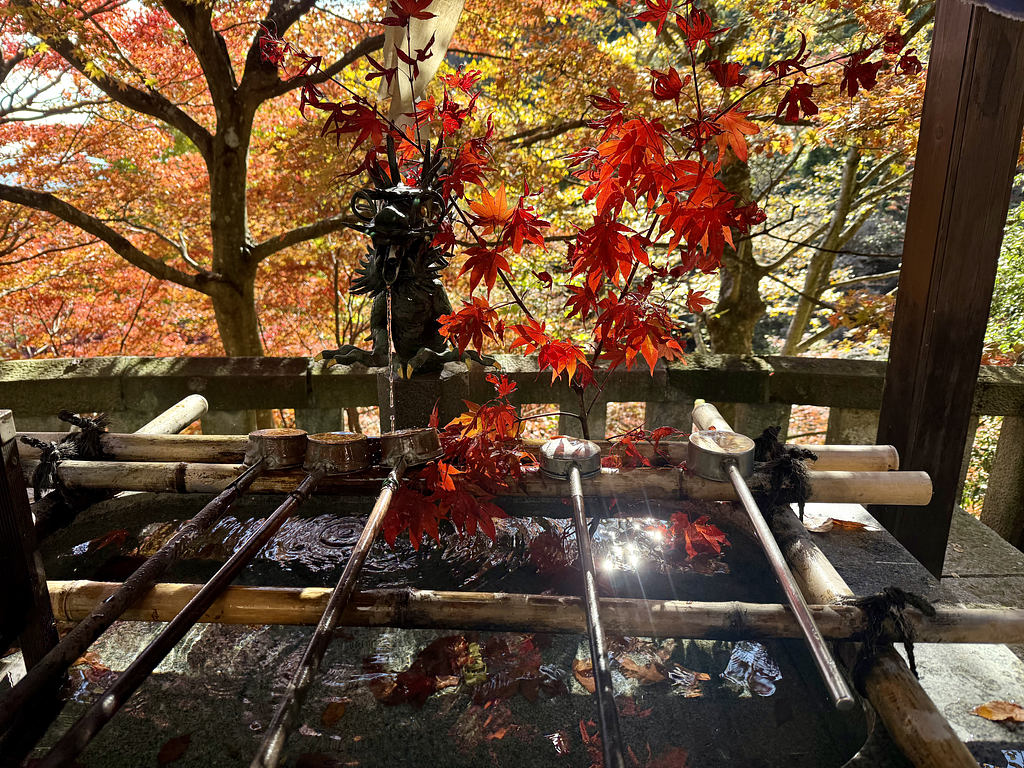 article-files/274/2025-07-13-01-07-35-4e2a.png 大山(神奈川)登山之旅回顾 - 徒步远足之旅