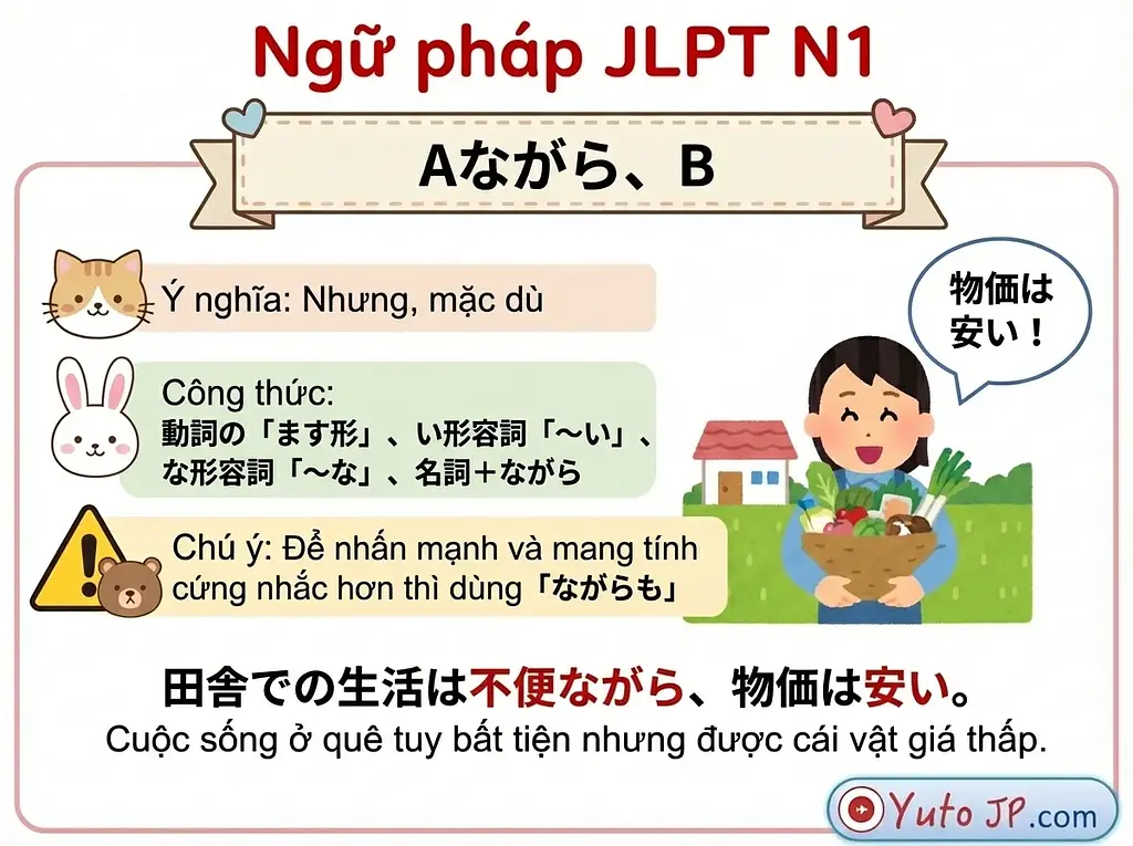 article-files/188/2025-12-06-15-36-31-3eea.webp Tóm tắt ngữ pháp JLPT N1 - Phần 2