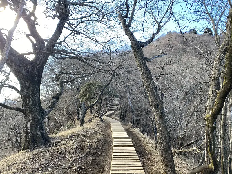 article-files/274/2025-07-13-01-30-44-b1fb.webp 大山(神奈川)登山之旅回顾 - 徒步远足之旅