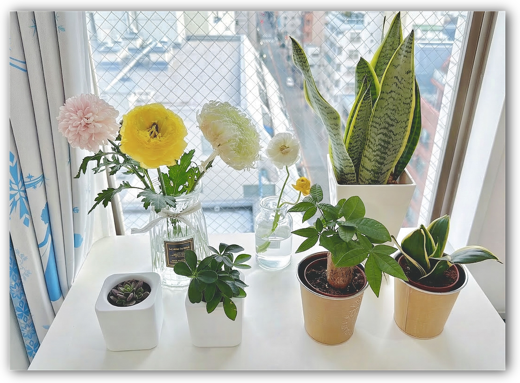 article-files/289/2026-03-24-12-20-24-4f07.png 我的日本找房记:寻找并租下心仪好房的历程