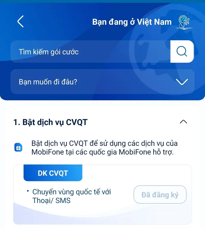 Chuyển vùng quốc tế mạng MobiFone: Cách giữ số để nhận cuộc gọi, SMS khi ở nước ngoài