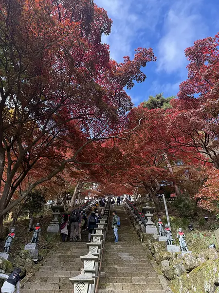 article-files/274/2025-07-13-01-30-42-4506.webp 大山(神奈川)登山之旅回顾 - 徒步远足之旅