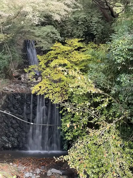 article-files/274/2025-07-13-01-07-34-bd37.webp 大山(神奈川)登山之旅回顾 - 徒步远足之旅
