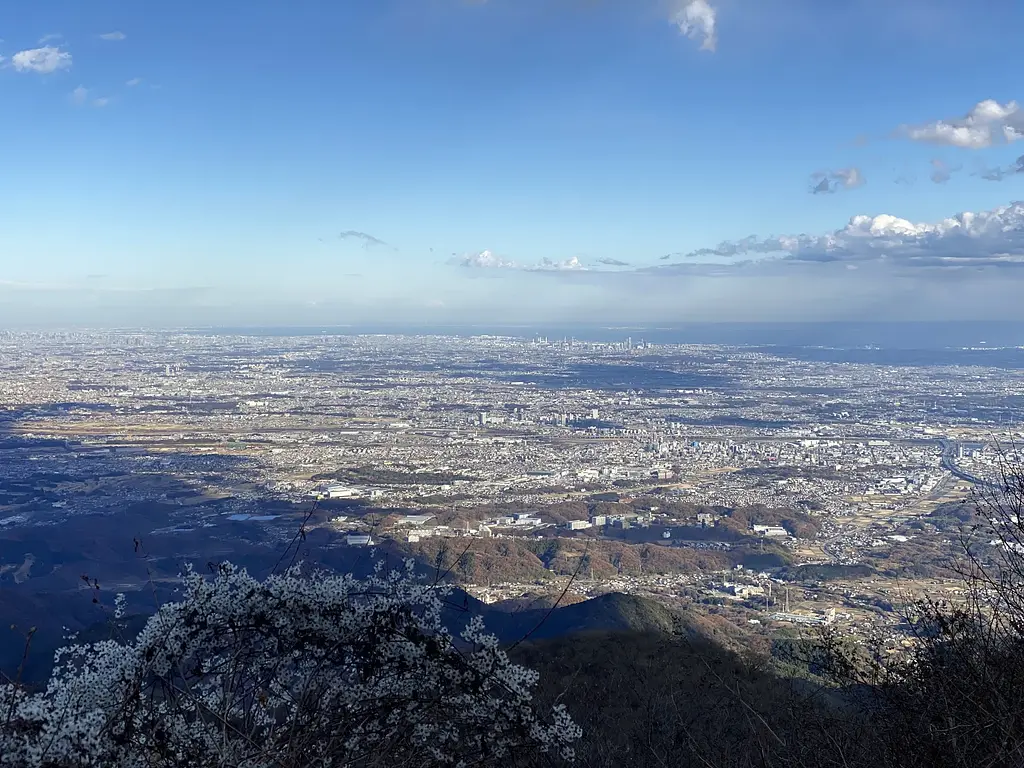 article-files/274/2025-07-13-01-30-43-6b3e.webp 大山(神奈川)登山之旅回顾 - 徒步远足之旅